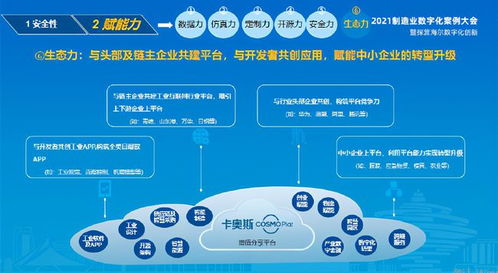 盛国军 卡奥斯工业互联网的探索与实践